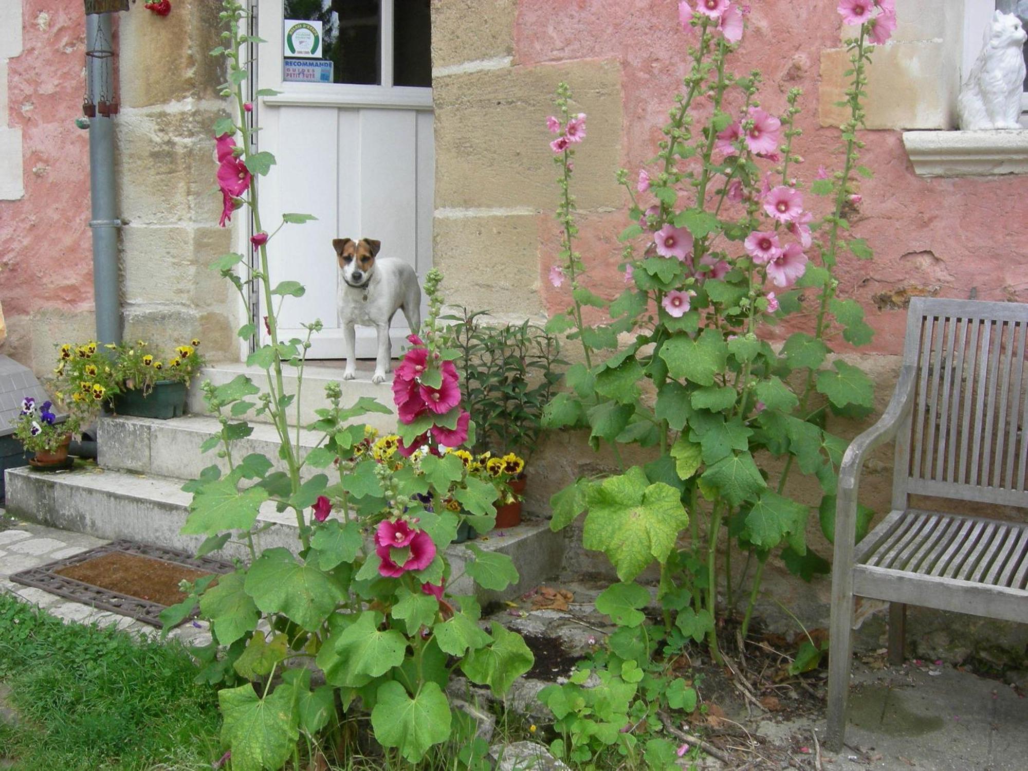 Bed and Breakfast La Ferme Rose Cergy Exterior foto